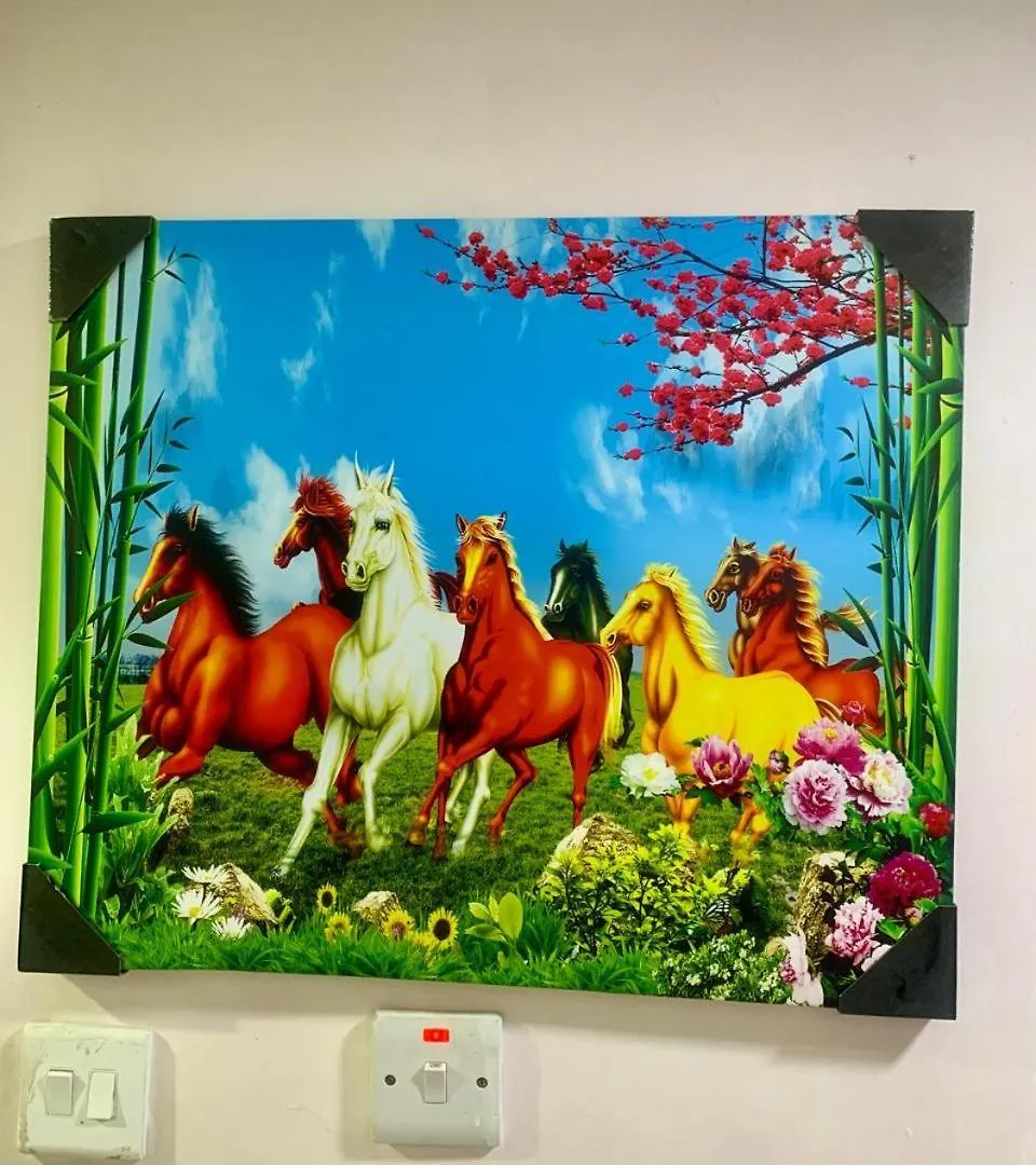 Homestay Harmony Home Abu Dhabi